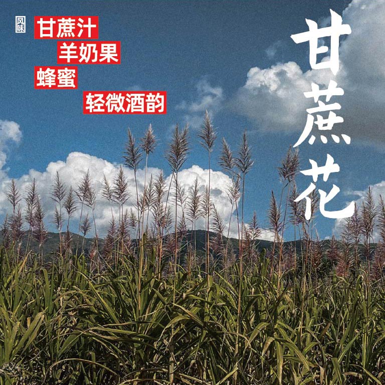 Ba_Liang_Hai_Dan_Pin_Hai_Bao_03