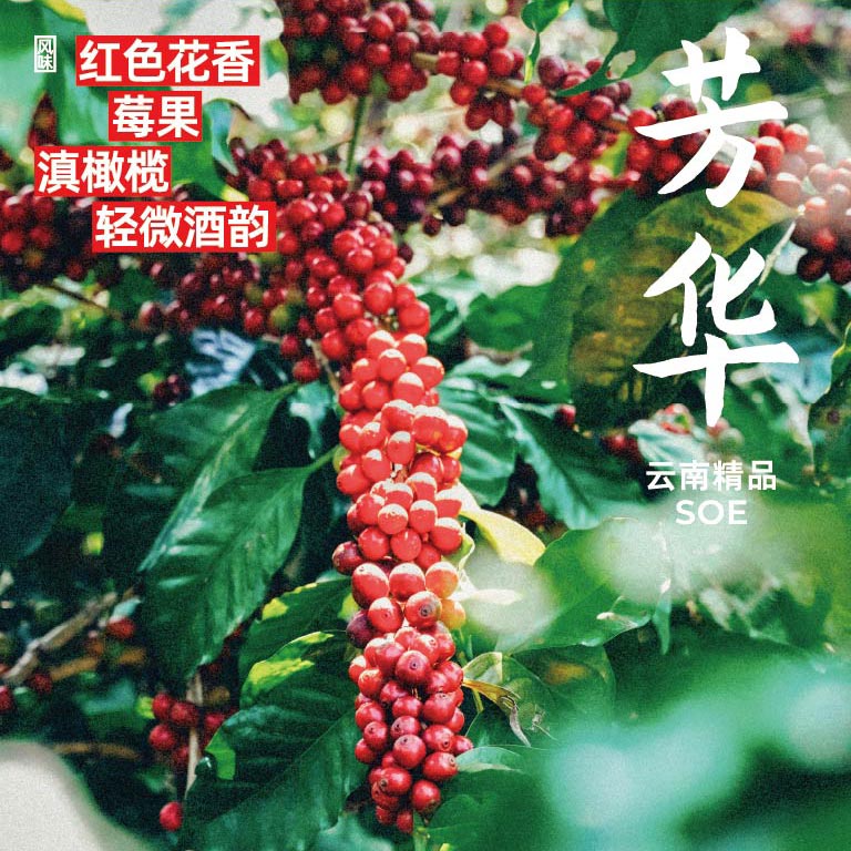 Ba_Liang_Hai_Dan_Pin_Hai_Bao_04