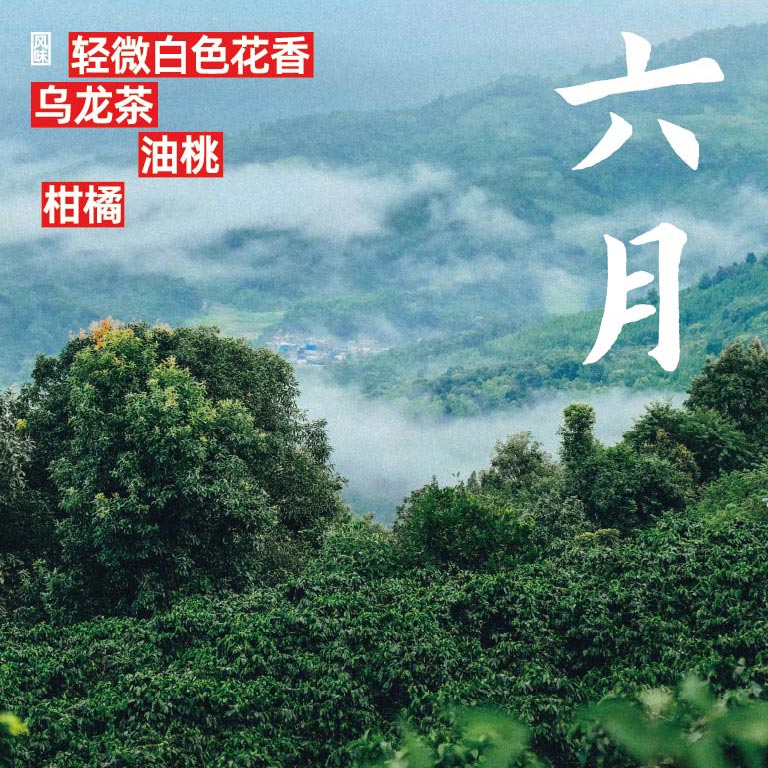 Ba_Liang_Hai_Dan_Pin_Hai_Bao_07